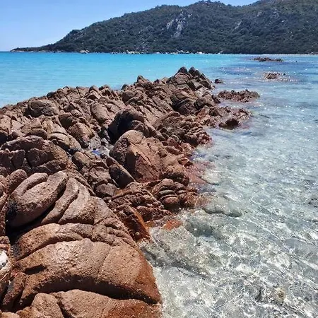 Superbe T2 Neuf 42m² Cala Rossa Διαμέρισμα