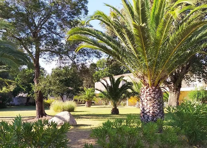 Superbe T2 Neuf 42m² Cala Rossa דירה *