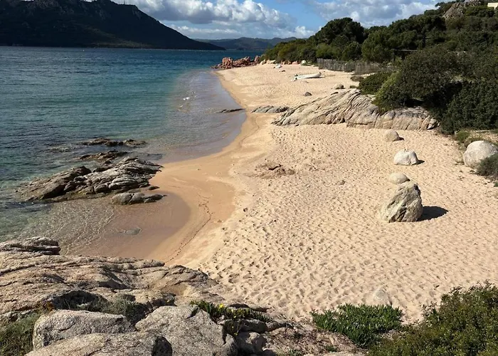 דירה Superbe T2 Neuf 42m² Cala Rossa לצ'י