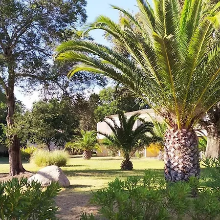 Superbe T2 Neuf 42m² Cala Rossa Apartament *