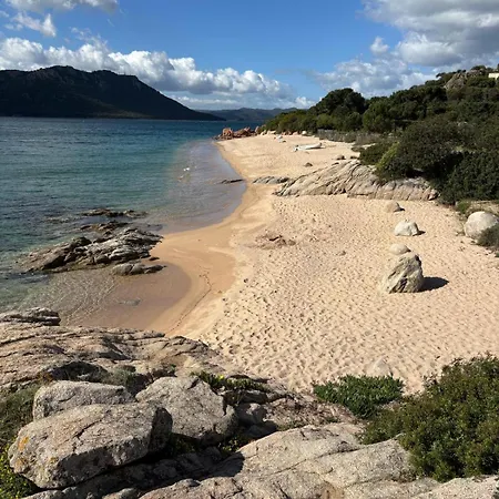 Apartament Superbe T2 Neuf 42m² Cala Rossa Lecci