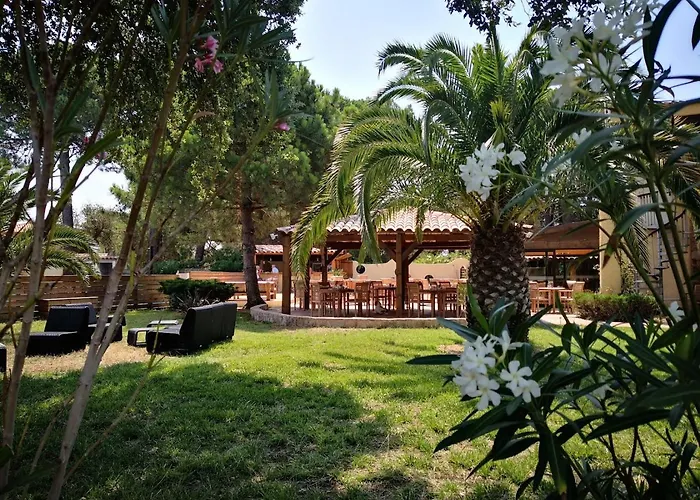 Apartment Superbe T2 Neuf 42m² Cala Rossa Lecci