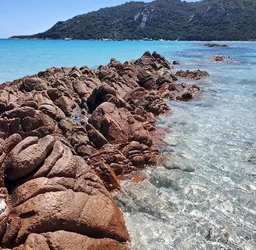 Superbe T2 Neuf 42m² Cala Rossa Apartmán